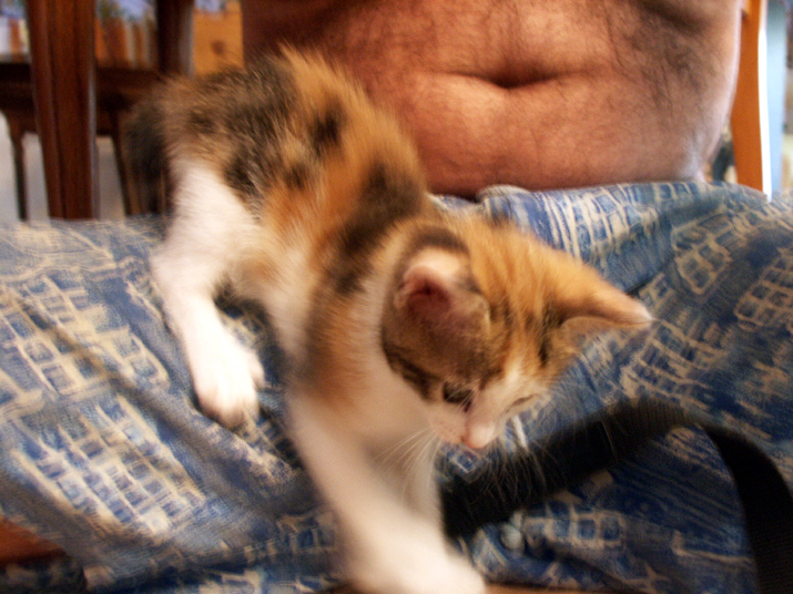 caramel 06-04 032.jpg - DCF 1.0